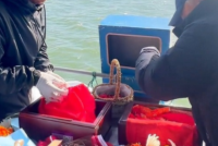 深圳海撒实录