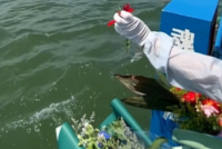 深圳海撒实录