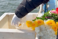 深圳海撒实录