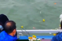 深圳海撒实录