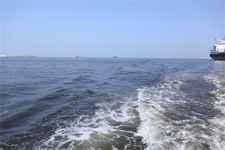 深圳大鹏新区海葬政策-1