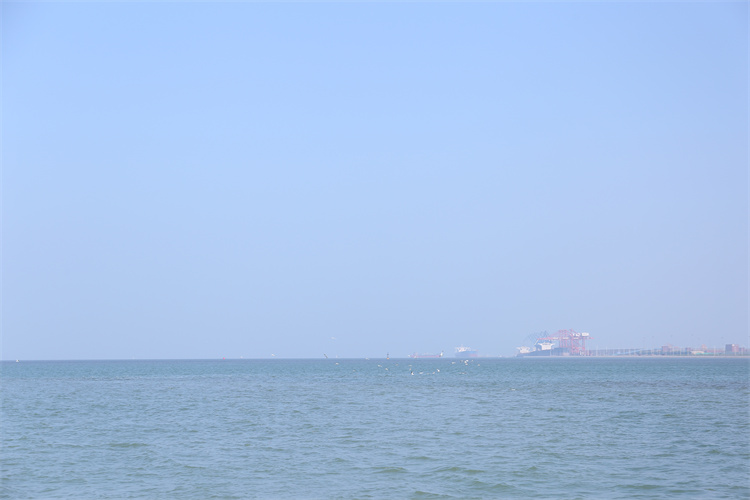 深圳市海葬办理地点在哪里-2