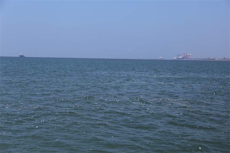 深圳海葬登记申请流程-2