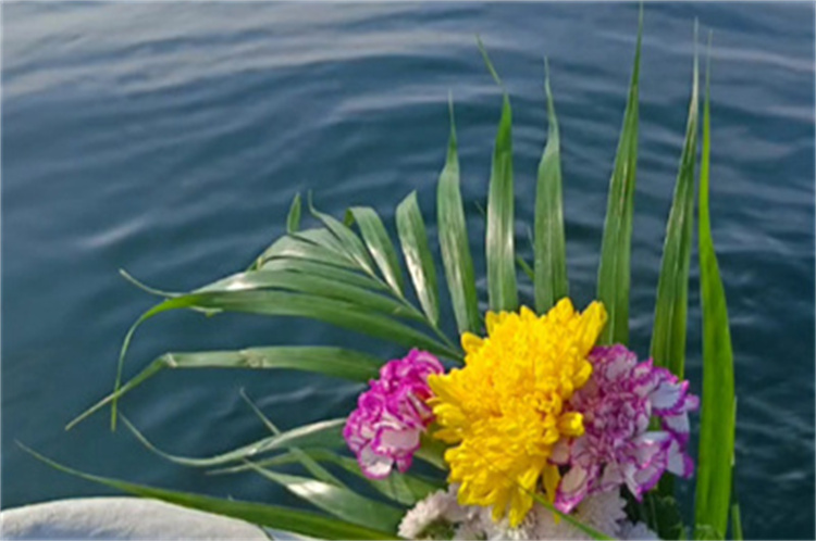 深圳市海葬可以网上预约么