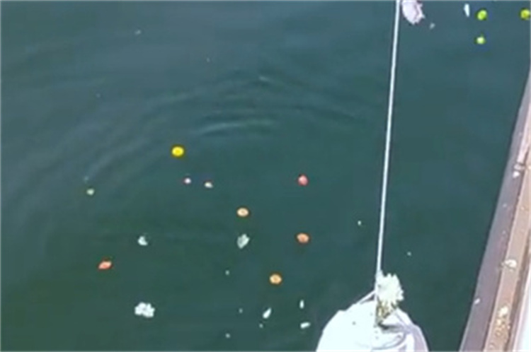 深圳罗湖海葬纪念详情-2