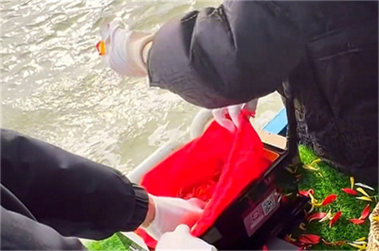 深圳市海葬免费预约-2