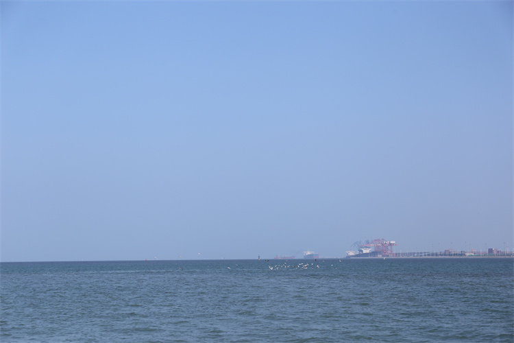 深圳市海葬证办理流程-1