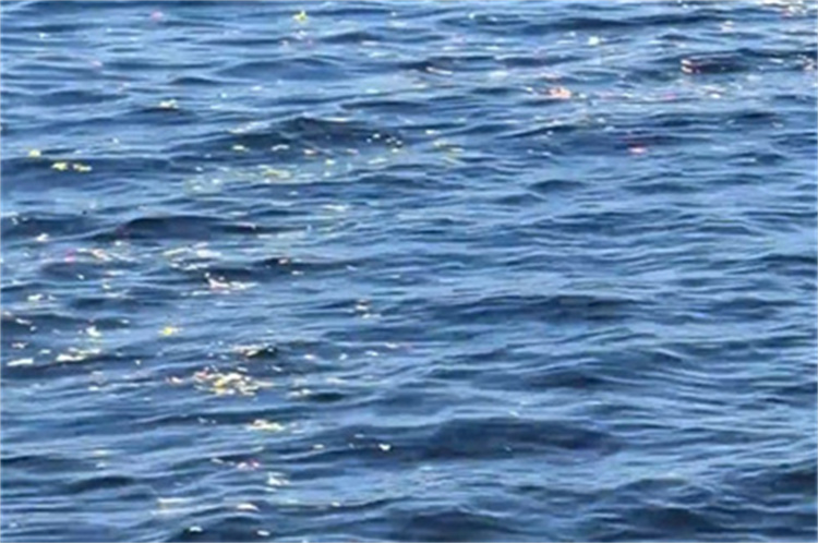 深圳民政海葬真实办理经验分享-3