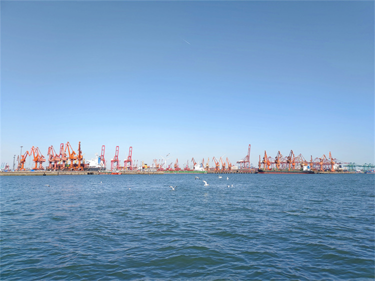 深圳海葬补贴官方最新政策解读-3