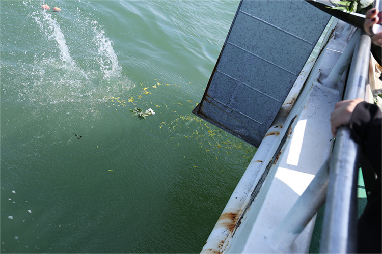 深圳海葬服务官方最新政策解读-1