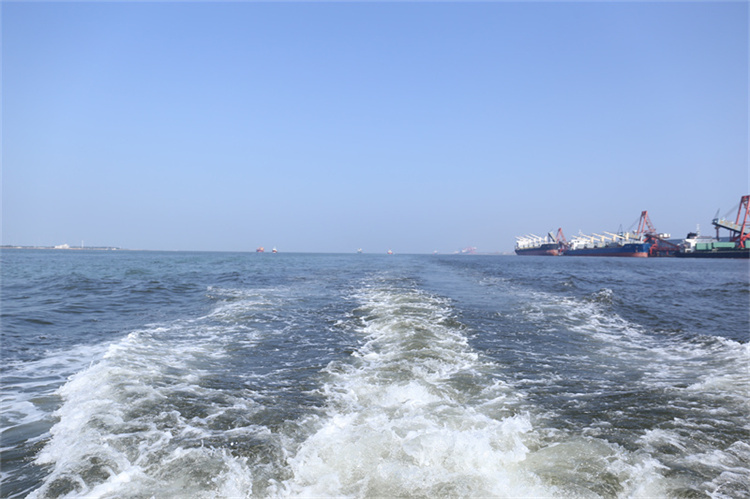 深圳海葬补贴官方最新政策解读-1