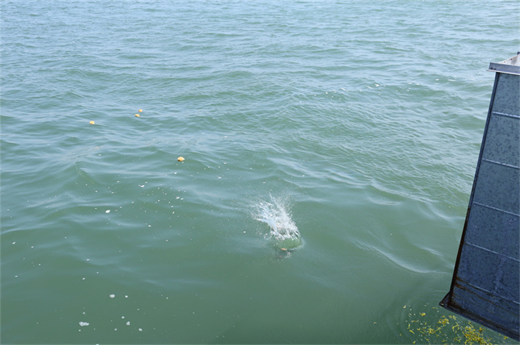 深圳海葬活动官方最新政策解读-2