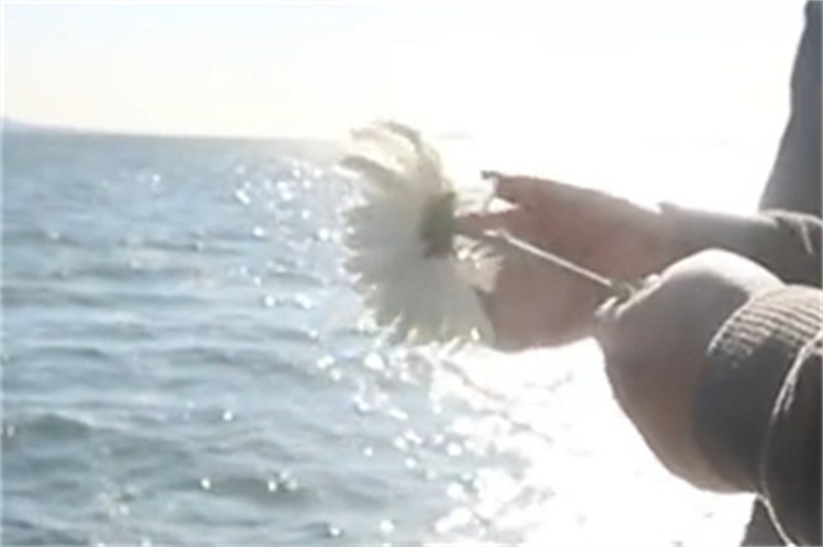 深圳民政海葬官方最新政策解读-1