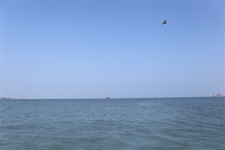 深圳海葬政策规定标准