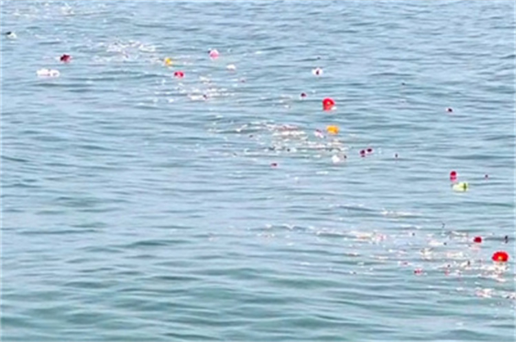 2025年深圳市海葬费用-2