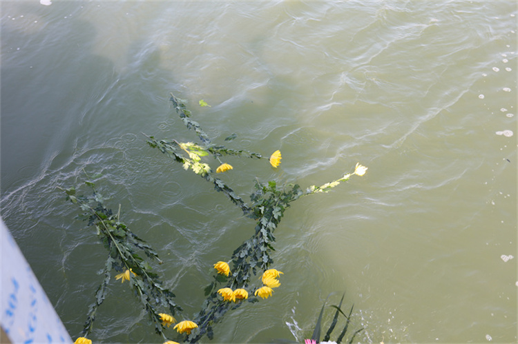 深圳海葬报名流程说明