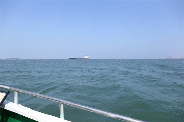 深圳市海葬均免费-1