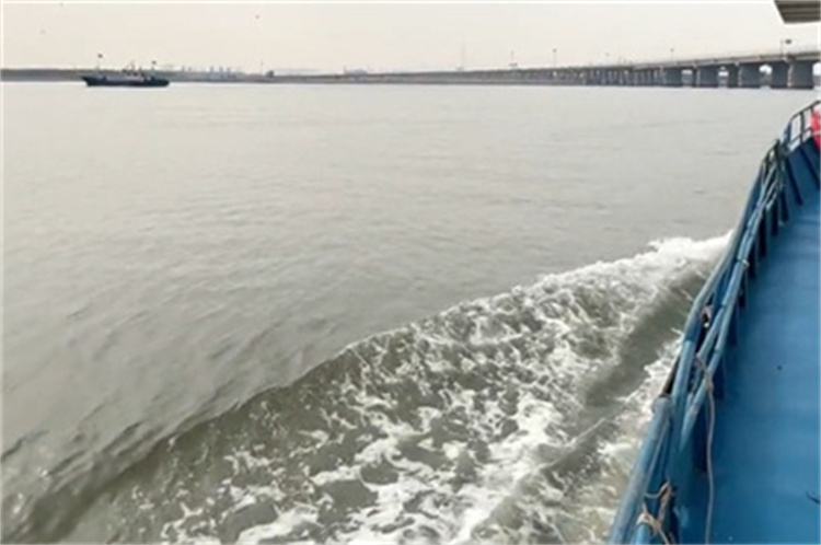 深圳市海葬补贴什么时候给-2