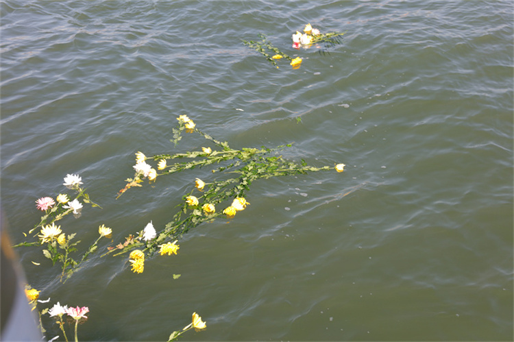 深圳大鹏湾海葬真实办理经验分享-3