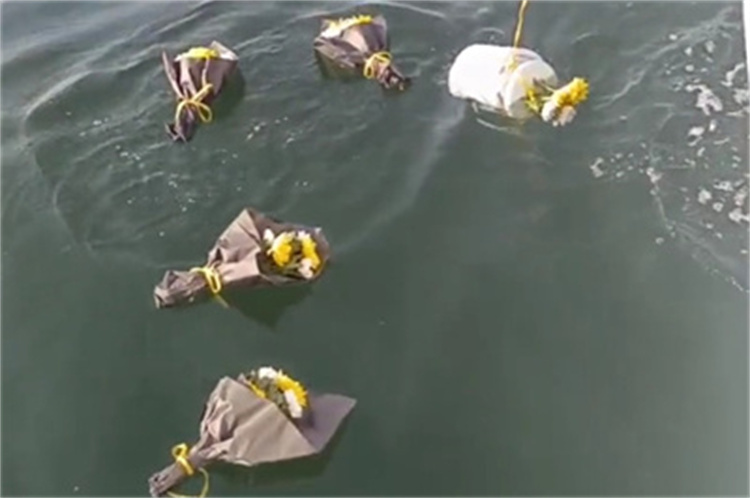 深圳大鹏湾海葬官方最新政策解读-2