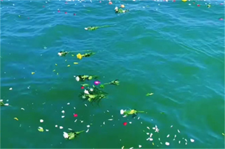 深圳海葬活动真实办理经验分享-3