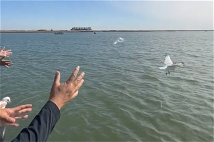 深圳民政海葬官方最新政策解读-2