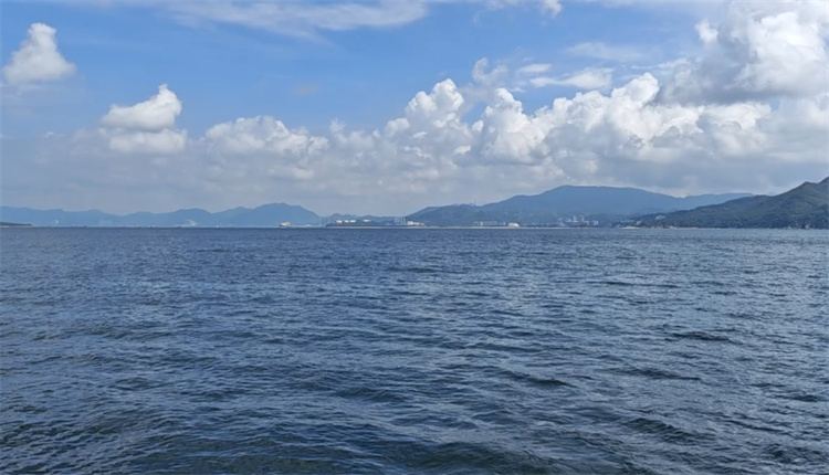 深圳海葬资格申请流程-2