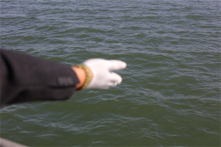 深圳市海葬有补贴吗-1