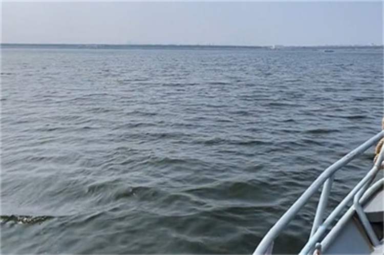 深圳市海葬怎么办理手续-2