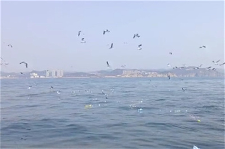 家属深圳海葬报名-1