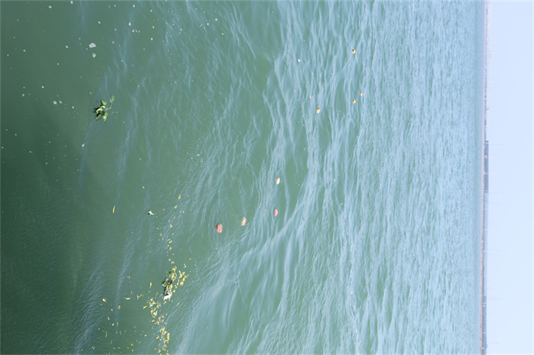 深圳民政海葬官方最新政策解读-1