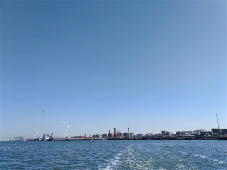 深圳海葬服务真实办理经验分享-1