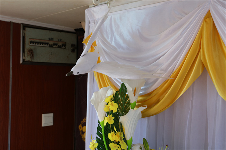 深圳海葬活动官方最新政策解读