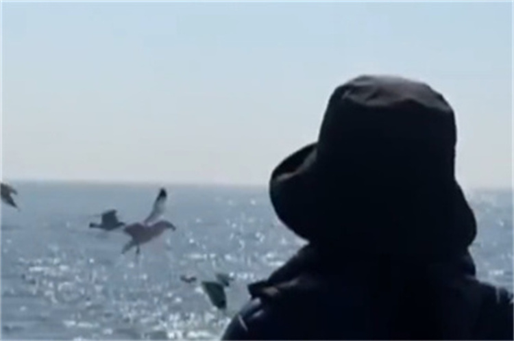 深圳光明区海葬申请标准