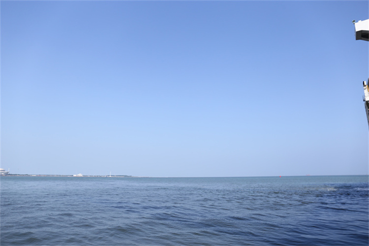 深圳海葬客户服务反馈-2