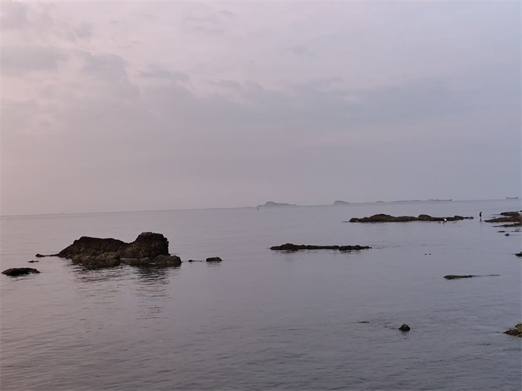 深圳市海葬免费预约-1