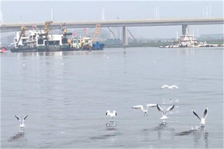 深圳殡仪馆海葬真实办理经验分享-3