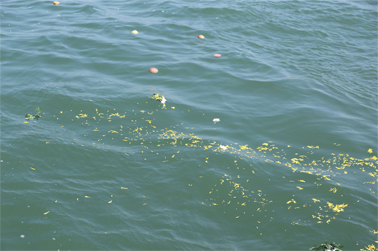 深圳市海葬一对一价格-2