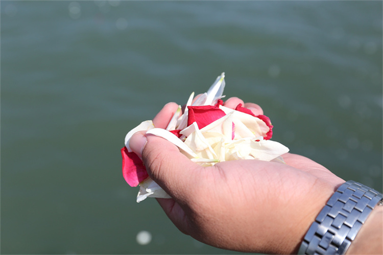 深圳市海葬价格大概多少钱-1