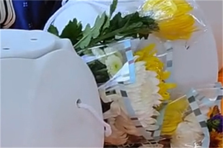 深圳政府海葬补贴政策-3