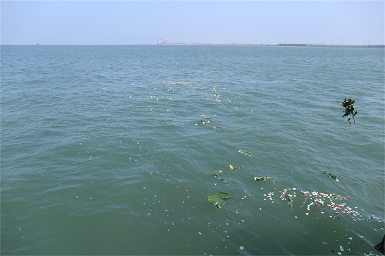 深圳市海葬奖励政策-1