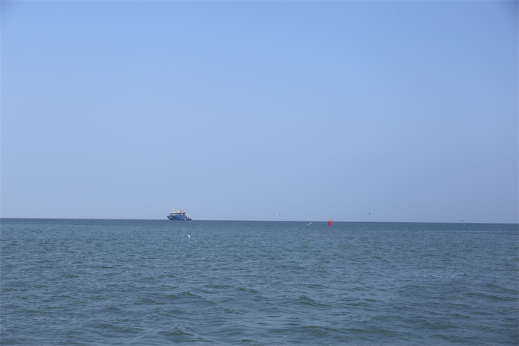 深圳市海葬价格-1