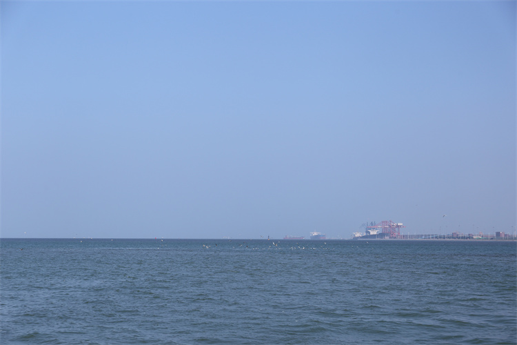 深圳海葬收费详细明细-1