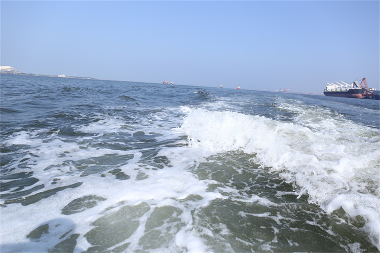 深圳民政海葬常见问题汇总-1