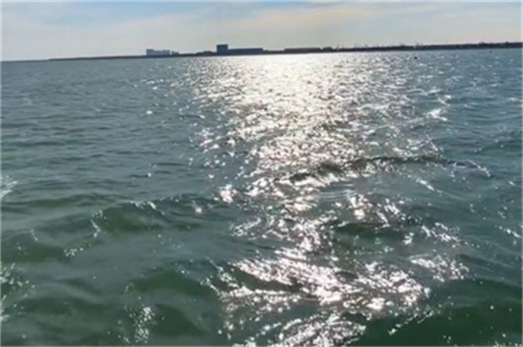 深圳市海葬免费-2