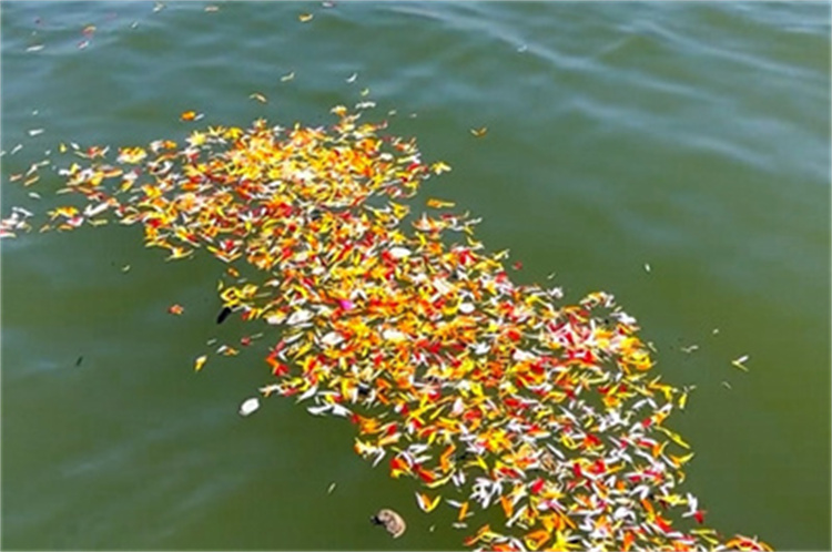 深圳海葬注意事项全流程-2