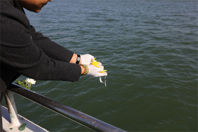 深圳海葬纪念文化活动-1