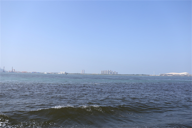 深圳海葬服务真实办理经验分享-2