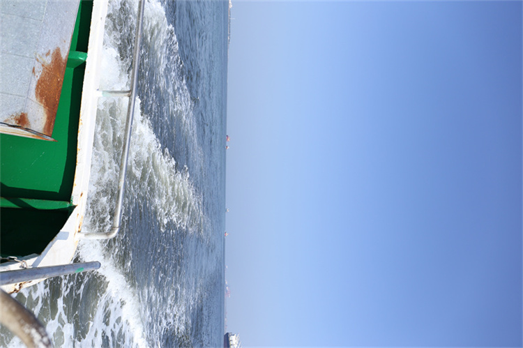 深圳大鹏湾海葬如何申请-3