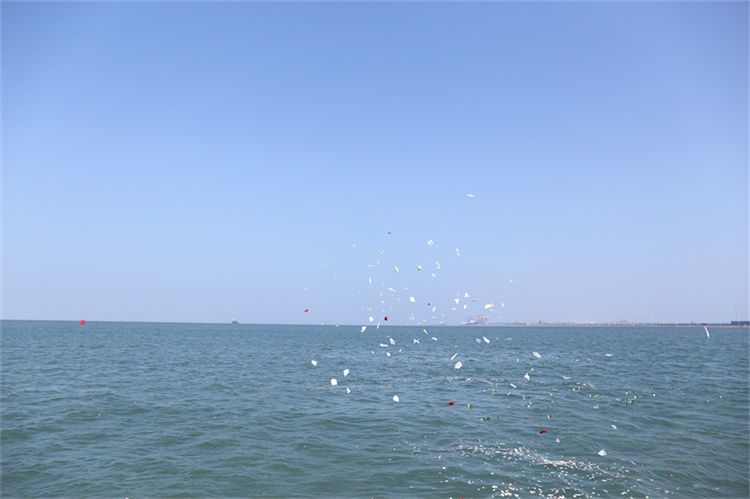 深圳骨灰海葬常见问题汇总-1